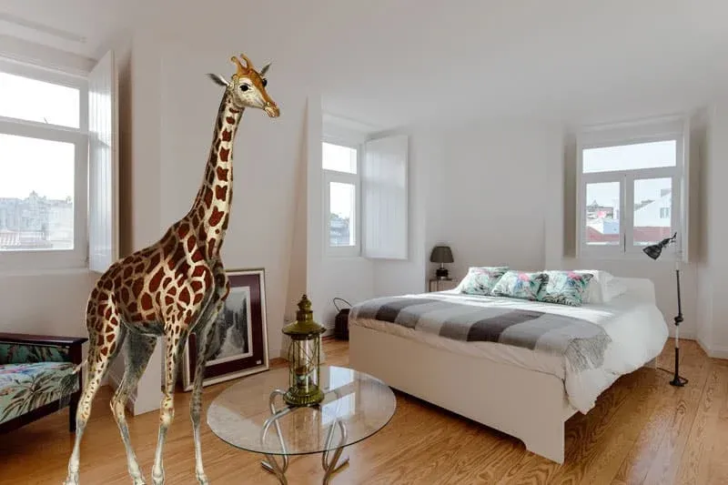 SameSame Lisbon - Creative Coliving in the Heart of Baixa - Image 13