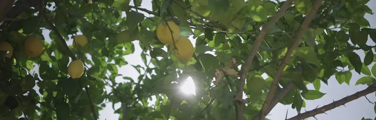 Rooral Benarrabá - Authentic Village Coliving in Andalusia - Image 1