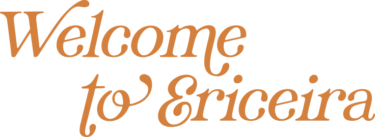 Wild Souls Coliving - Coastal Community & Coworking in Ericeira - Image 9