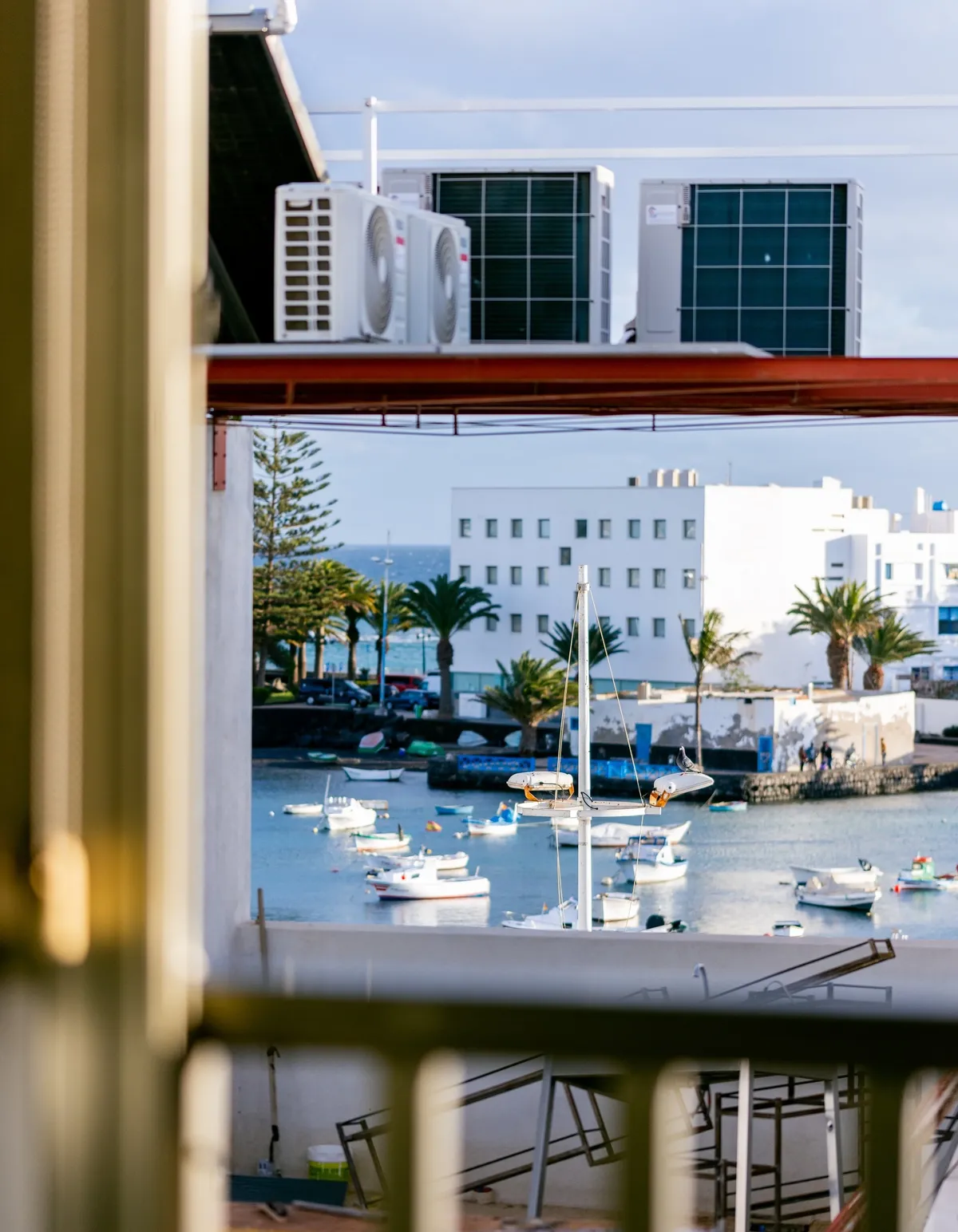 Pitaya Coliving - A Vibrant Island Community in Arrecife, Lanzarote - Image 4