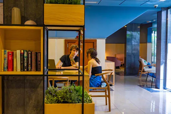 La Luna Coliving - Urban Oasis in Santa Cruz de Tenerife - Image 4