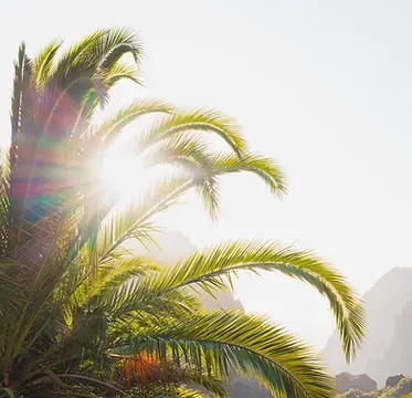 Ikigai Tenerife - Coliving & Coworking with Volcano Views - Image 8