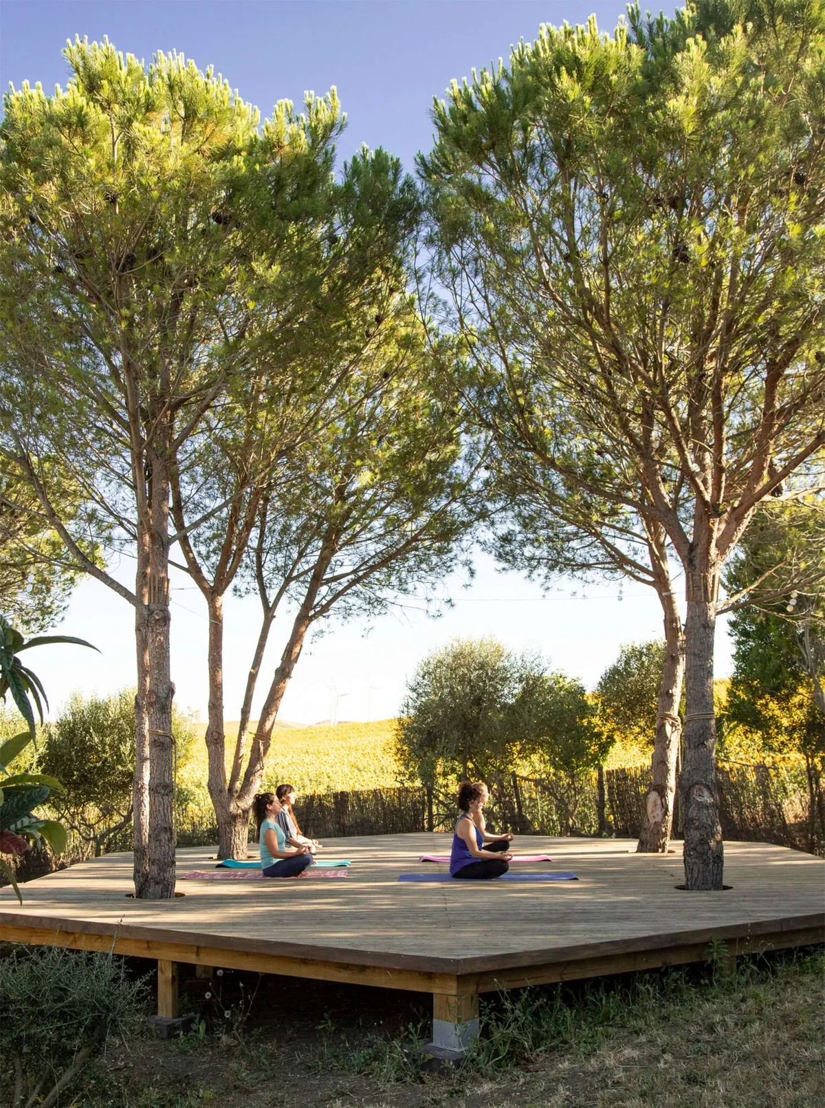 Finca La Palmera - Eco-Living Paradise in Rural Andalusia - Image 1