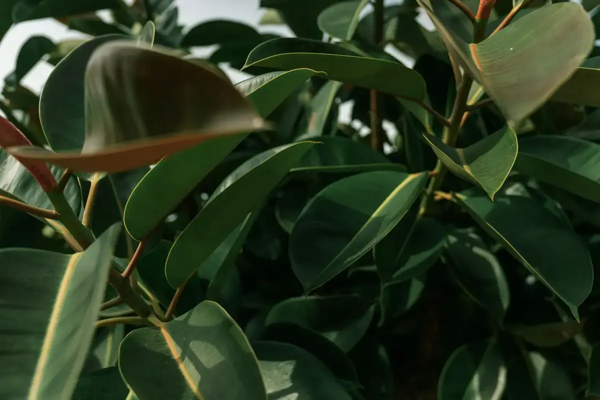 COCO Coliving & Coworking Costa Blanca - Mountain & Sea Retreat in Dénia - Image 1