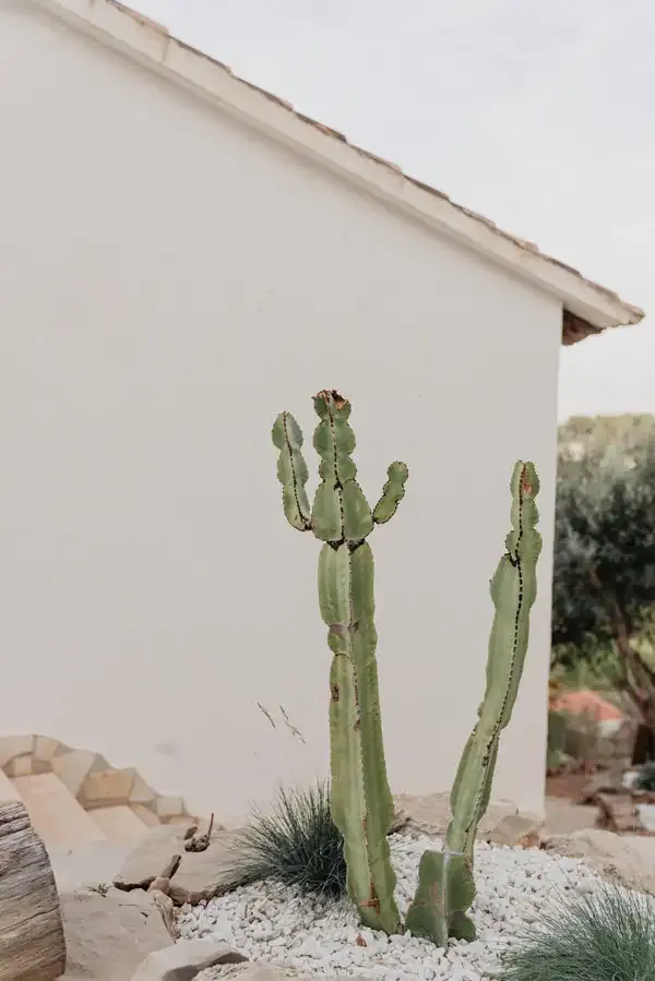 COCO Coliving & Coworking Costa Blanca - Mountain & Sea Retreat in Dénia - Image 7