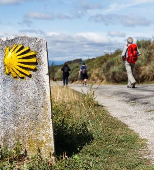 Coliving Compostela - Modern Hub in Historic Santiago de Compostela - Image 6