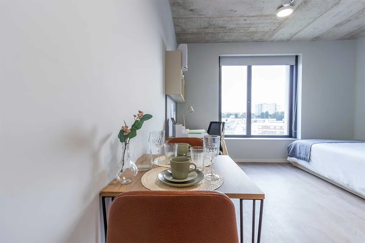 LIV CoLife Porto - Modern Coliving for Digital Nomads & Young Professionals - Image 7