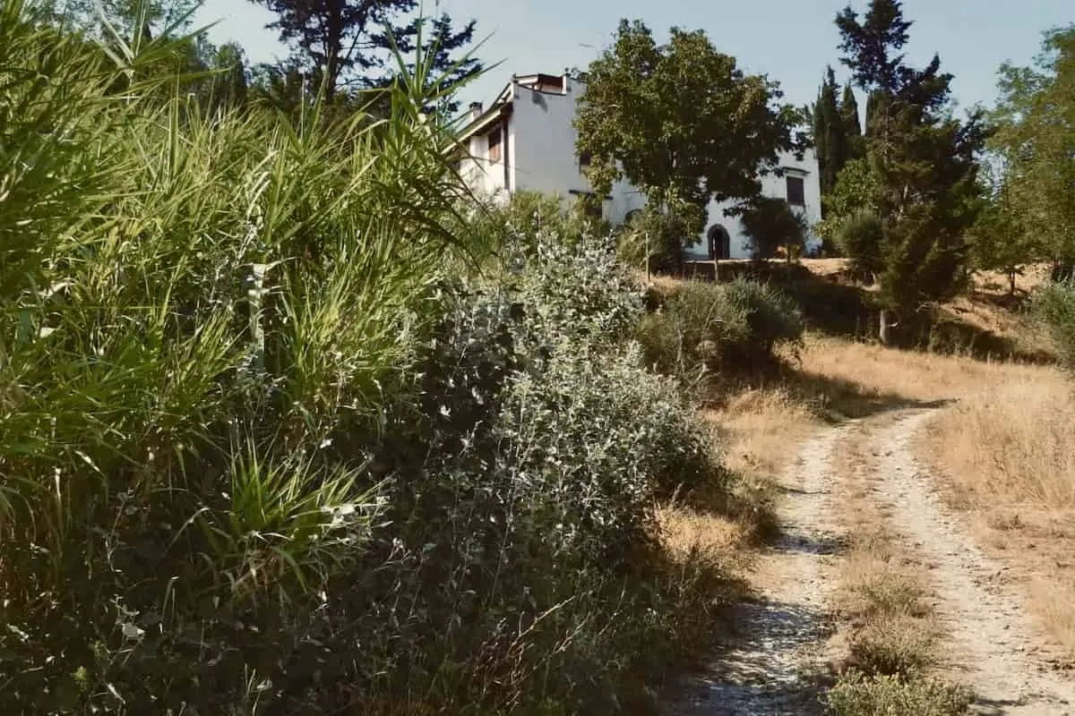 Villa Azzolini - Tuscan Retreat Coliving - Image 15