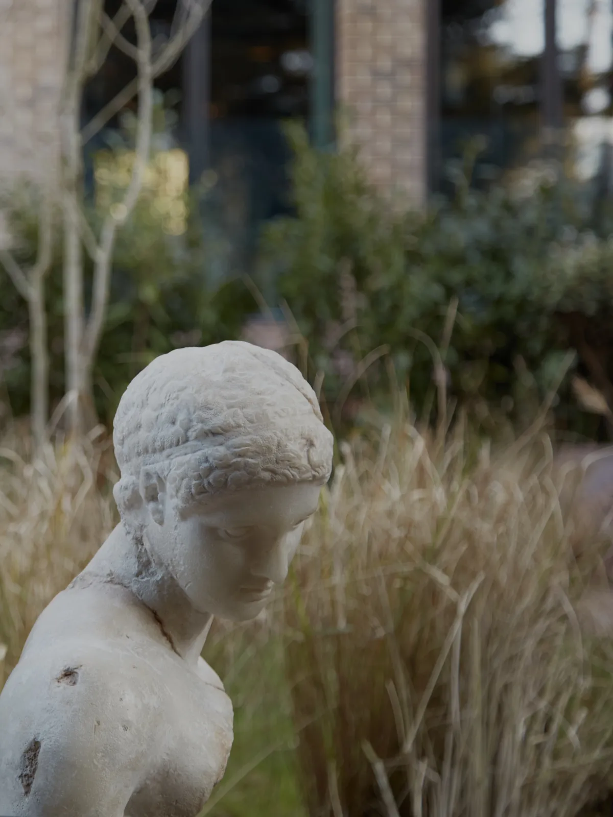 Dandi Wembley - Innovative Coliving in London's Vibrant Wembley Park - Image 8