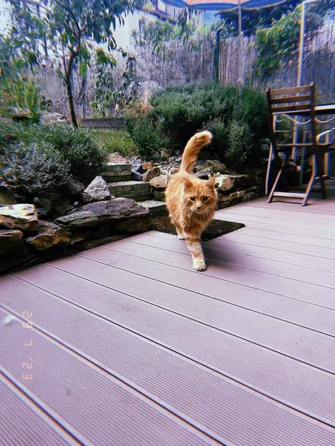 Prague Nomad Co-Living - International Eco-Friendly Community in Prague 10 - Image 15