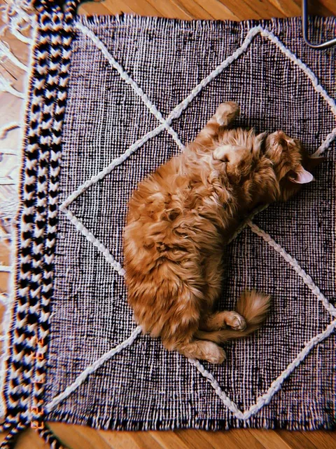 Prague Nomad Co-Living - International Eco-Friendly Community in Prague 10 - Image 5