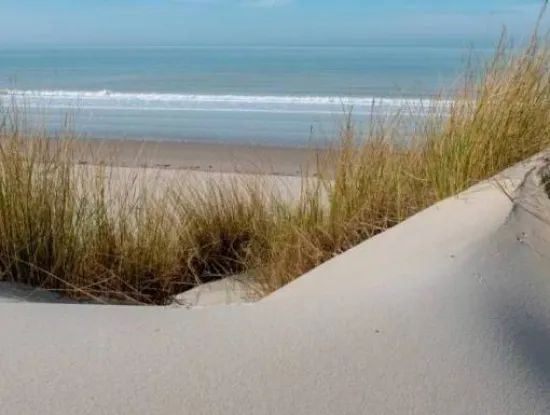 Coliving WeDiscover Bucharest - Heart of the City Hub - Image 7