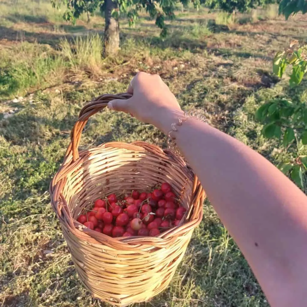 Masseria Olga - Rural Coliving in Puglia, Italy - Image 9