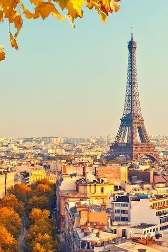 Cohabs Brussels - Premium Coliving in the Heart of the City - Image 4