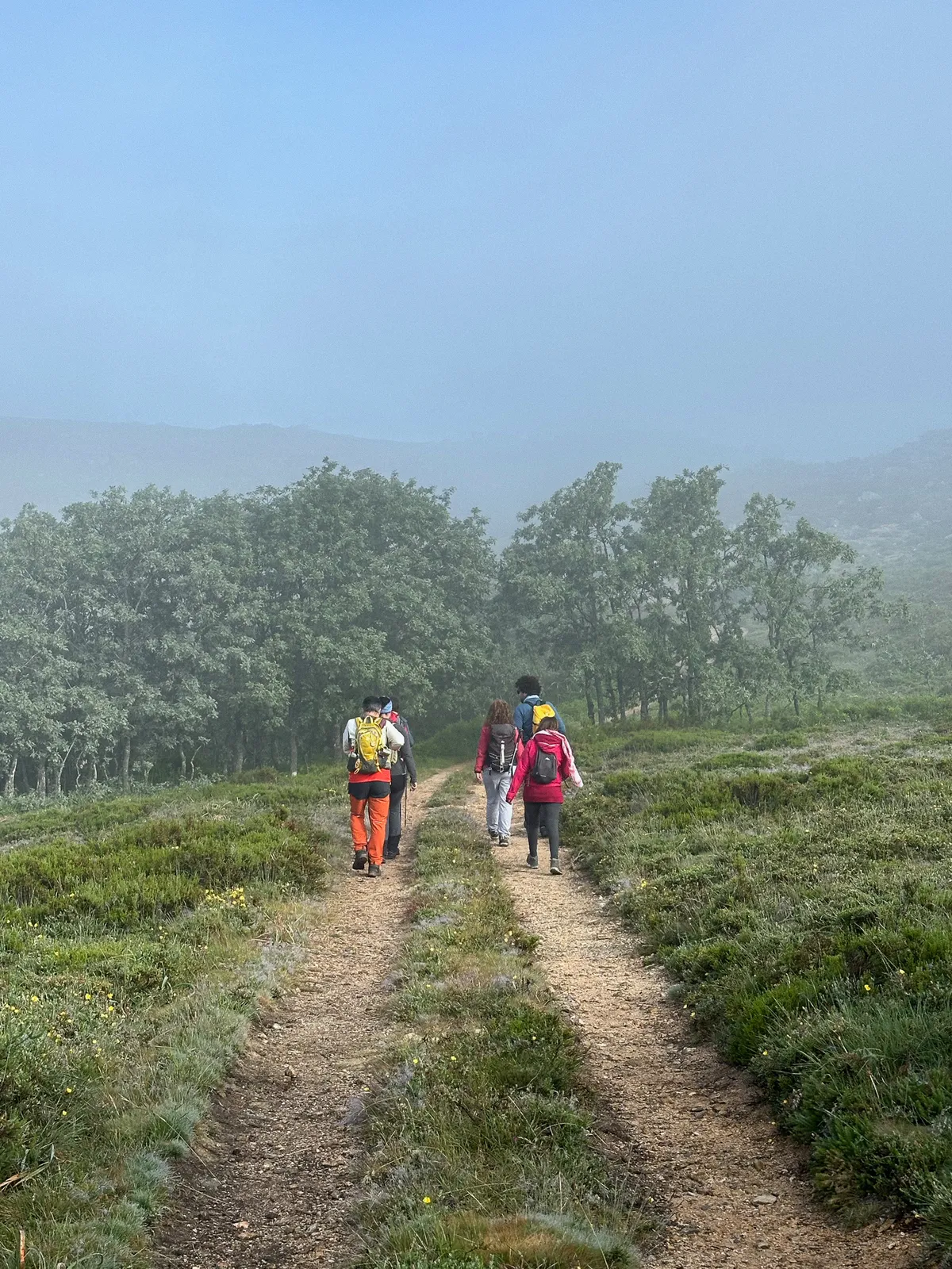 Sende Lobeira - Rural Coliving & Coworking in Galicia - Image 11