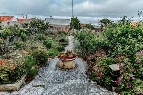 Vivenda Felicidade - Regenerative Coliving Farm in Sintra - Image 12