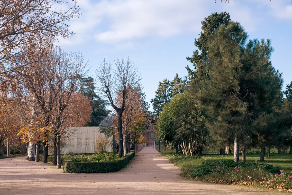 Trees Coliving Galerías - Artistic Hub in Madrid's Carabanchel - Image 7